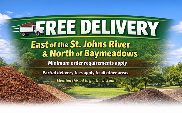 free delivery free delivery