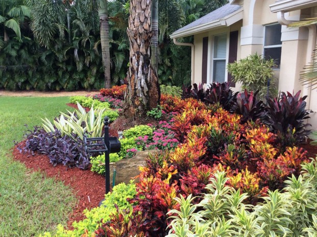 Plant Care During North Florida's Winter