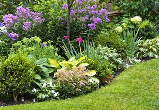 Mulch Master for Year-Round Property Beautificatione