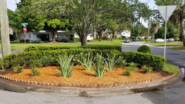 landscaping ideas 1