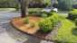 landscaping ideas 3