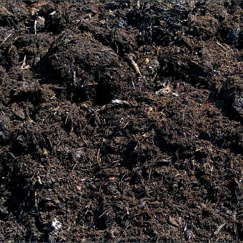 Wild Earth Compost with Manure