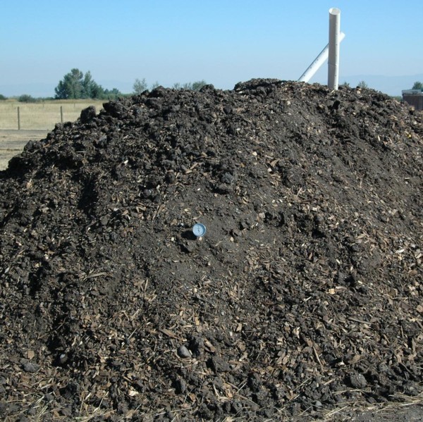 Wild Earth Compost with Manure