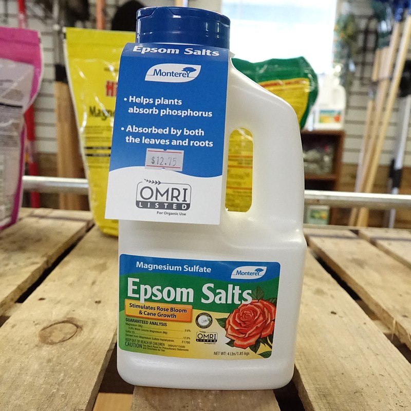 Epson Salt