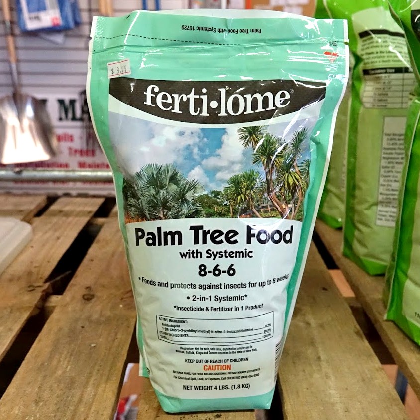 Palm Tree Food
